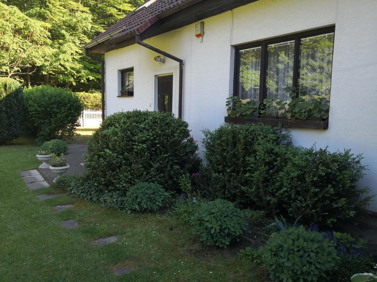 Ubytovani U Machova Jezera - Apartmany - Ludmila Grulisova Doksy  Zewnętrze zdjęcie